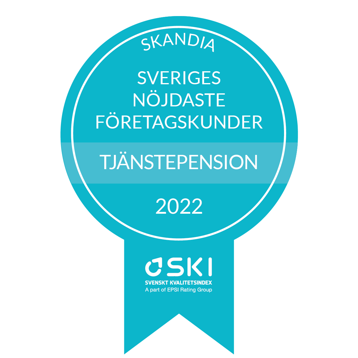 SKI företag 2022.png