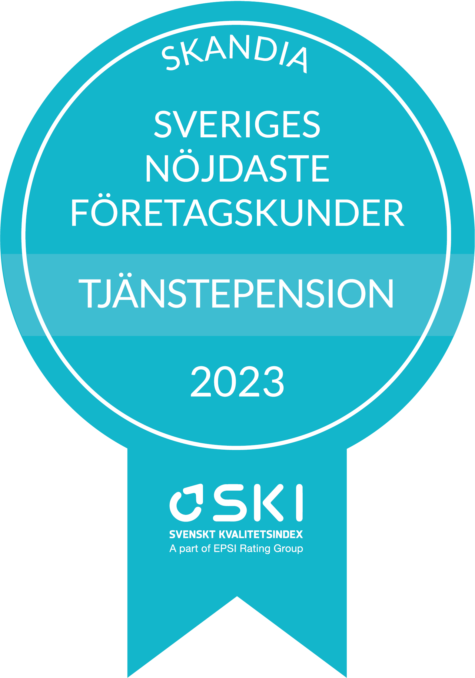 SKI 2023 företag.png